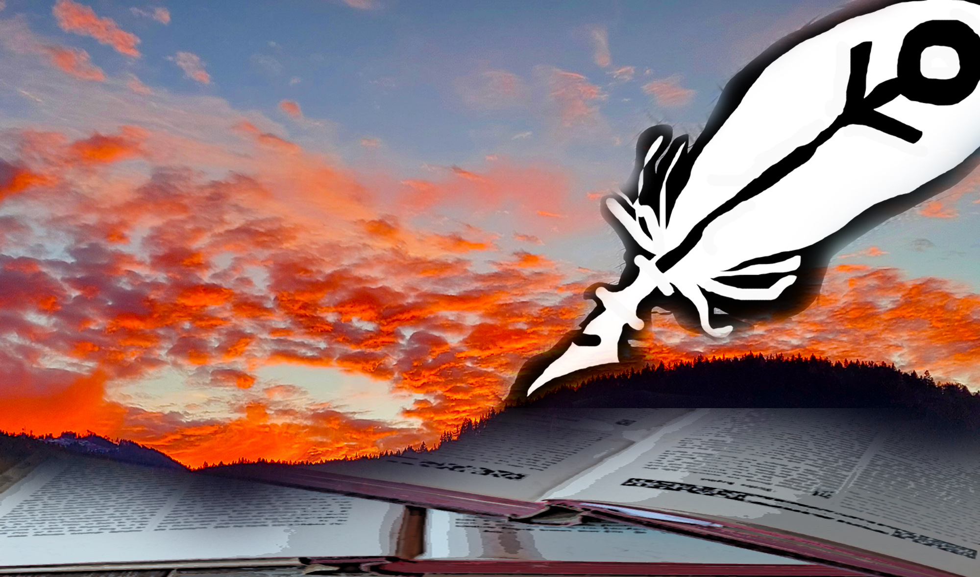 Jahresrückblick 2025