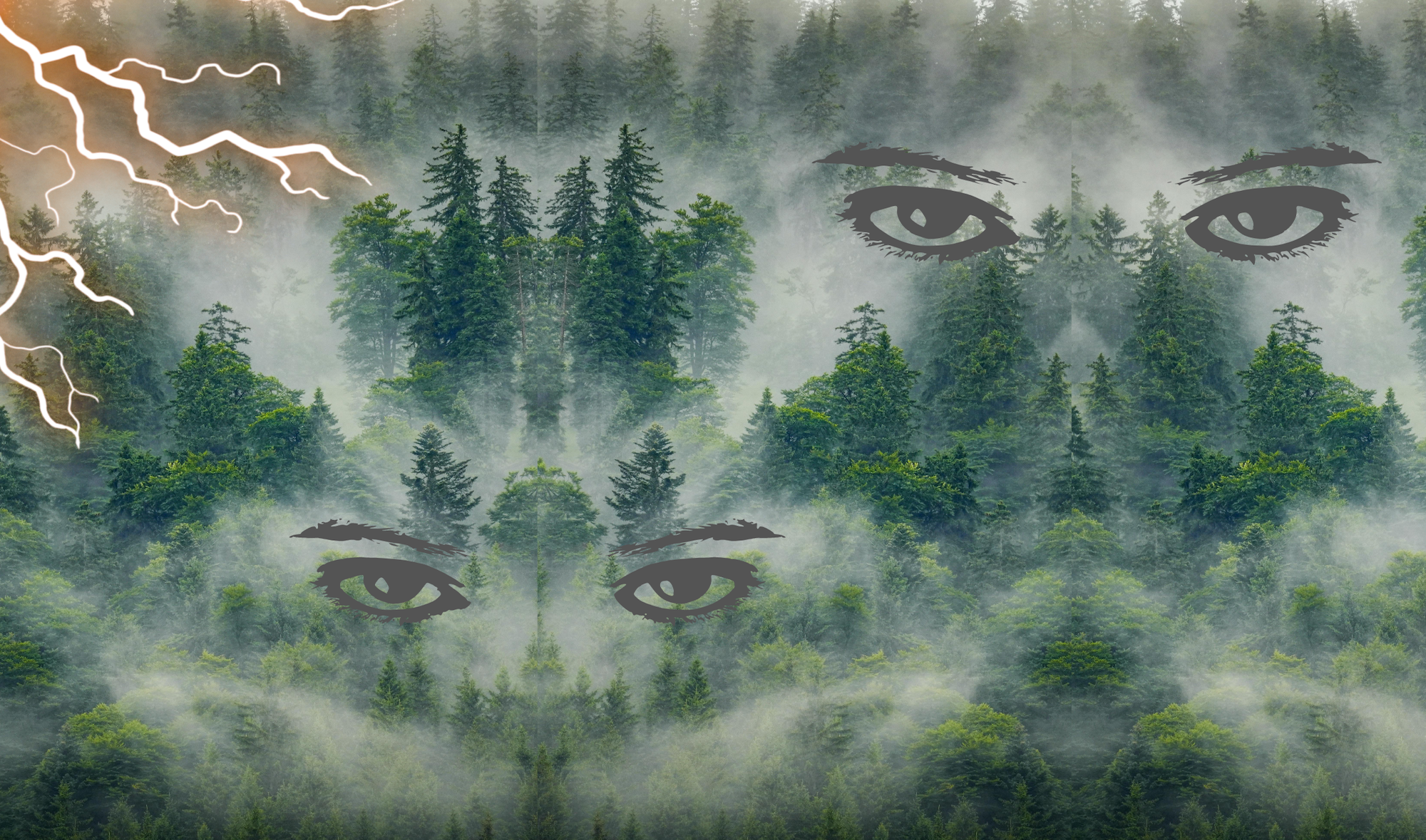 Erbe des Misstrauens