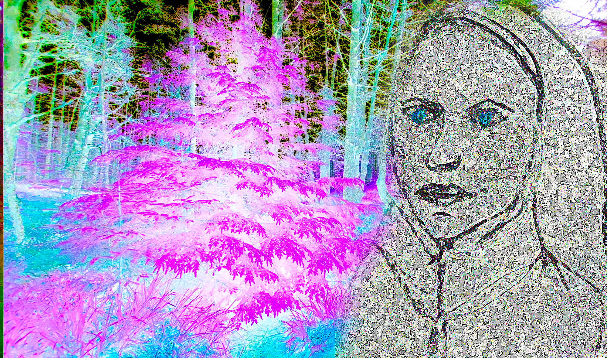 Polnische Vampirfrau
